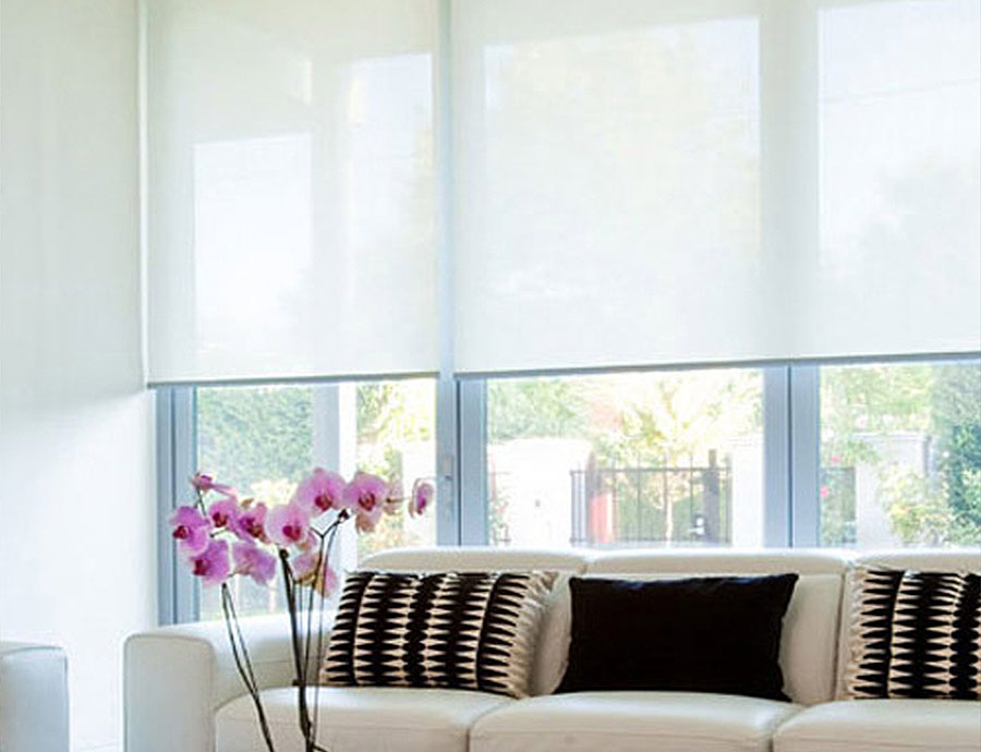 Translucent Blinds